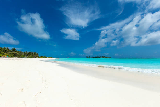 istock beach and tropical sea . nature background 1199192630