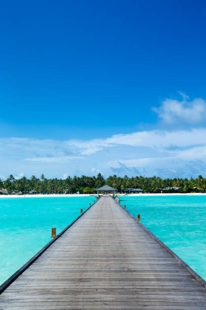 istock beach and tropical sea . nature background 1199192636
