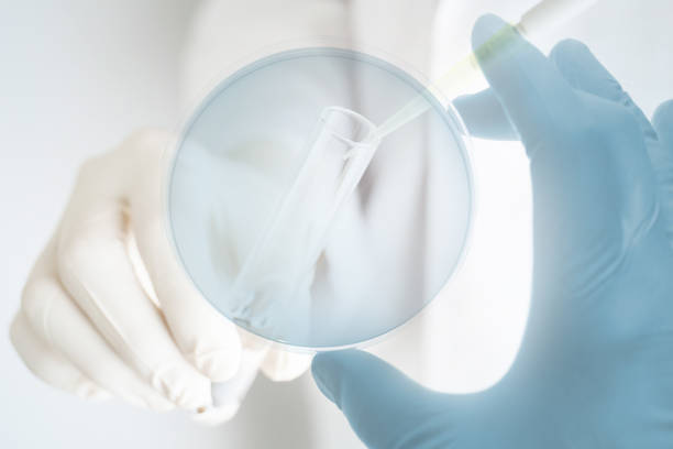 istock Image of research worker at the lab 1199192953