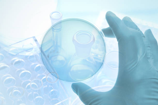 istock Image of research worker at the lab 1199193005
