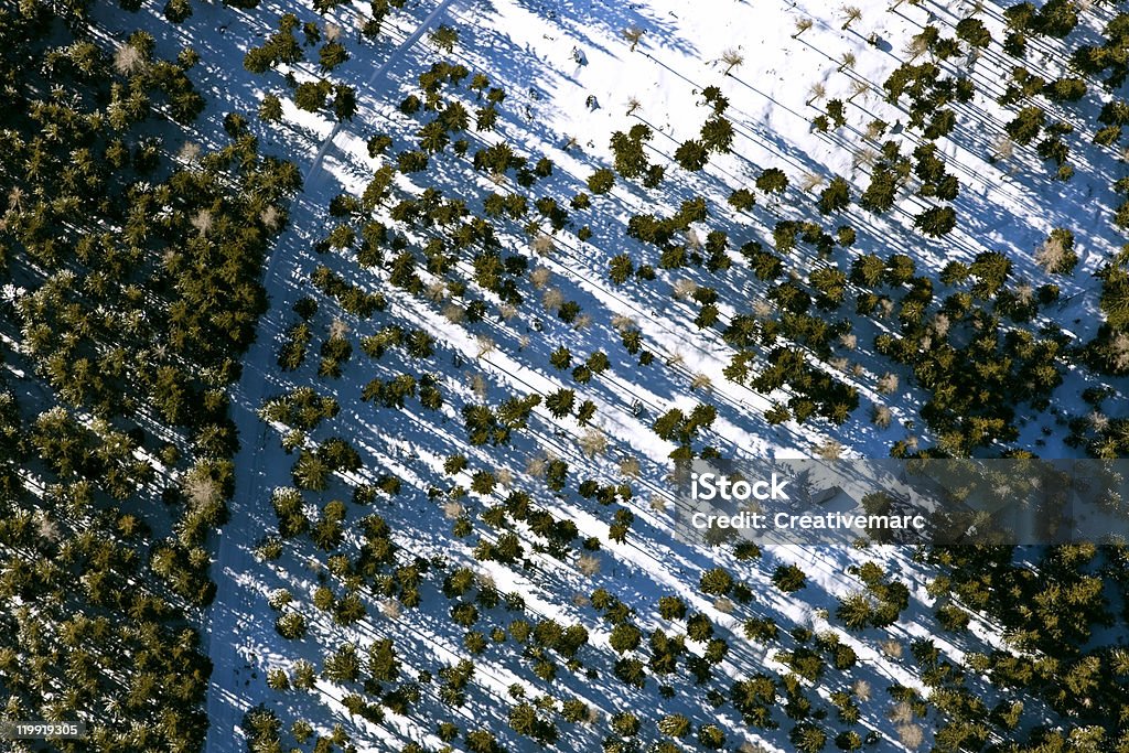 Vista aérea da floresta - Foto de stock de Abstrato royalty-free