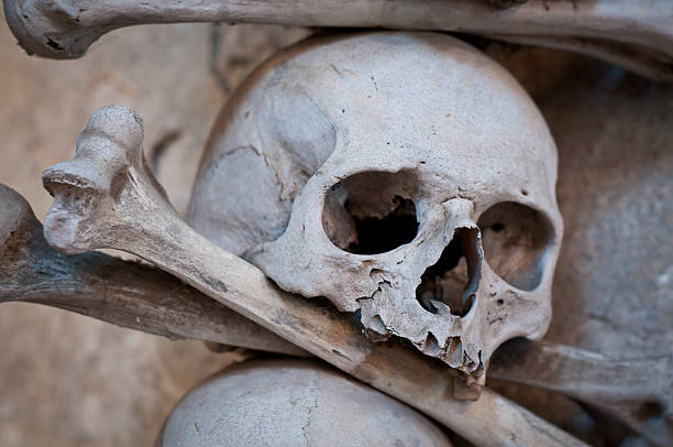 istock Skull and crossbones detail 119919427
