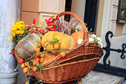 Wicker basket with pumpkins and yellow chrysanthemum flowers near door. Autumn \nThanksgiving decor near house