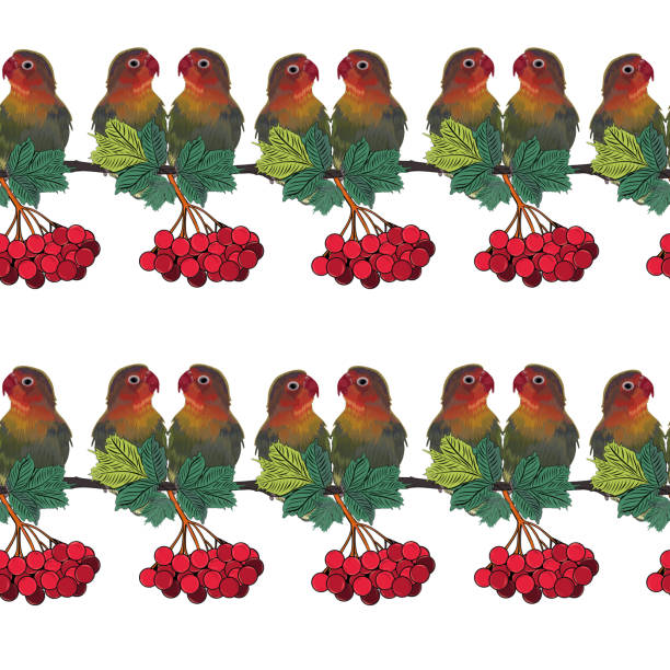 Seamless pattern Pink-cheeked lovebird. Loving birds are a genus of the parrot family. Graphic drawing. Seamless pattern Pink-cheeked lovebird. Loving birds are a genus of the parrot family. Graphic drawing. Branch with a red berry. White background. Close-up. Can be used for any design. echo parakeet stock illustrations