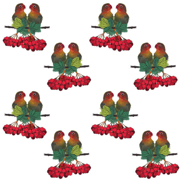 Seamless pattern Pink-cheeked lovebird. Loving birds are a genus of the parrot family. Seamless pattern Pink-cheeked lovebird. Loving birds are a genus of the parrot family. Graphic drawing. Branch with a red berry. White background. Close-up. Can be used for any design. echo parakeet stock illustrations