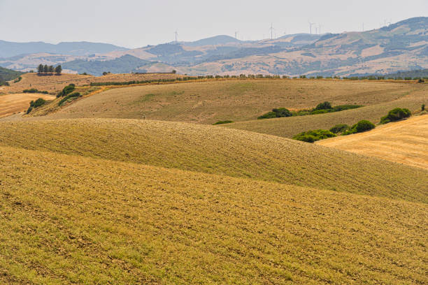 istock Rural landscape in Matera province at summer 1199197796