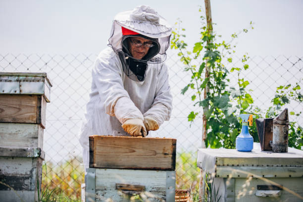 istock Protective clothing from bee stings 1199201798