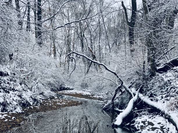 istock Water stills after winter chills 1199202758