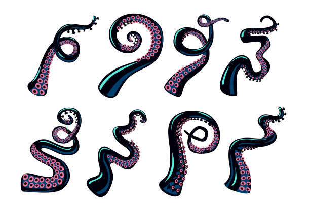 oktopus tentakel-set. vector design-elemente-sammlung auf isoliertem weißem hintergrund. cartoon-stil farbe clipart. - octopus tentacle isolated white stock-grafiken, -clipart, -cartoons und -symbole