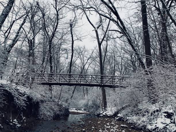 istock Snow clings to a walking bridge over a creek 1199206786