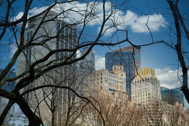 istock New York City Through Park Trees 1199212046