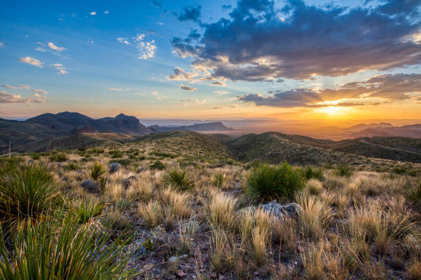 View from Sotol Vista, Big Bend National Park, USA View from Sotol Vista, Big Bend National Park, USA. The Santa Elena canyon and the boarder with Mexico can be seen in the horizon. southwest stock pictures, royalty-free photos & images