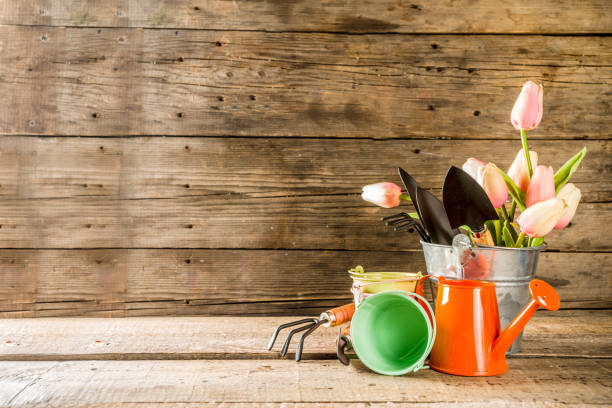 istock Gardening tools and flowers 1199216782