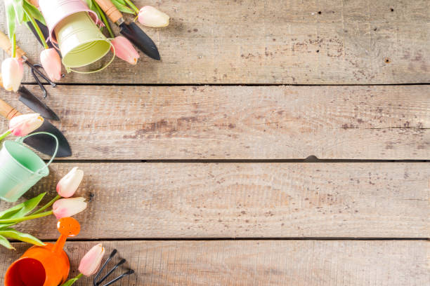 istock Gardening tools and flowers 1199216841