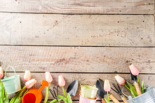 istock Gardening tools and flowers 1199216869