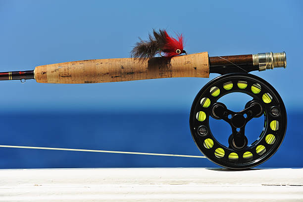 istock Saltwater fly fishing tackle 119921893