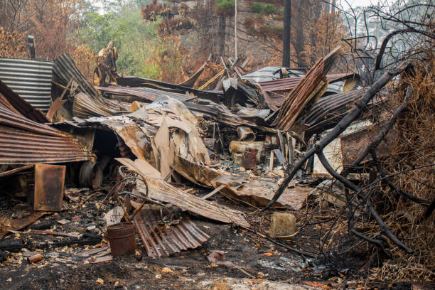 istock Australian bushfire aftermath: Burnt building rubble at Blue Mountains, Australia 1199219560