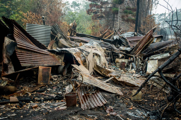 istock Australian bushfire aftermath: Burnt building ruins and rubble at Blue Mountains, Australia 1199219699