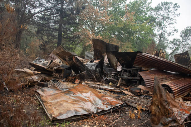 istock Australian bushfire aftermath: Burnt building ruins and rubble at Blue Mountains, Australia 1199219742