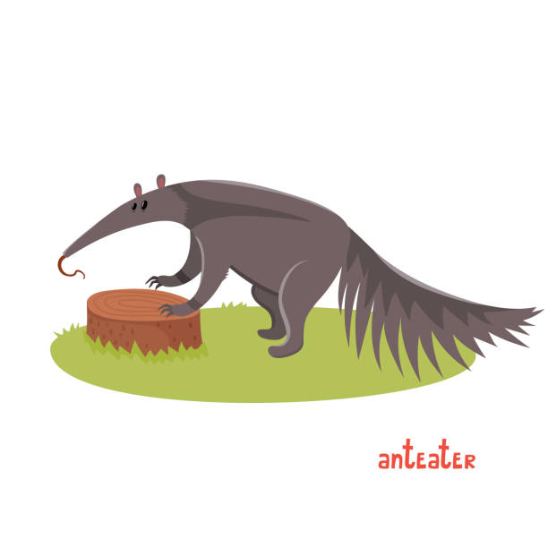 Ilustración de Lindo Oso Hormiguero En Estilo De Dibujos Animados y más Vectores Libres de Derechos de Oso hormiguero - iStock Ilustración de Lindo Oso Hormiguero En Estilo De Dibujos Animados y más Vectores Libres de Derechos de Oso hormiguero - iStock
