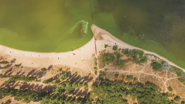 istock Aerial view green river shore in sunny day 1199221544