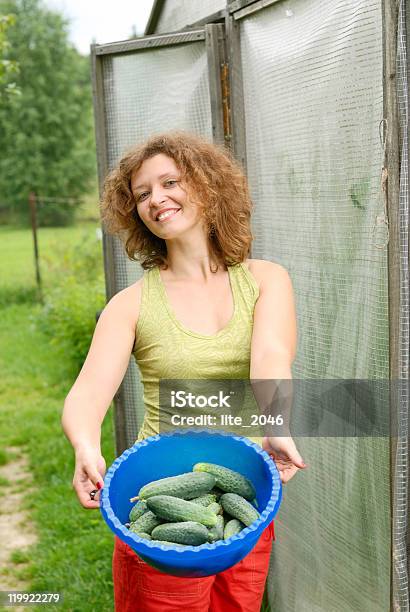 Jovem Mulher Com Colheita De Pepinos - Fotografias de stock e mais imagens de Adulto - Adulto, Agricultura, Alimentação Saudável