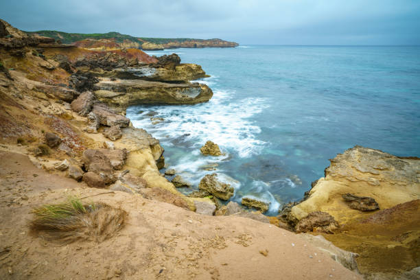 istock coast at great ocean road, victoria, australia 1199224343
