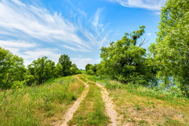 istock Road in countryside 1199224383