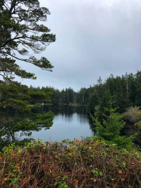 istock Oregon lake - Color Portrait Format 1199226242