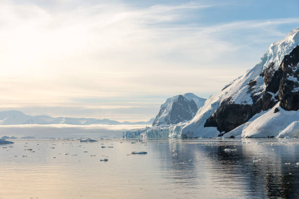 istock Antarctic landscape with glacier and mountains 1199229864