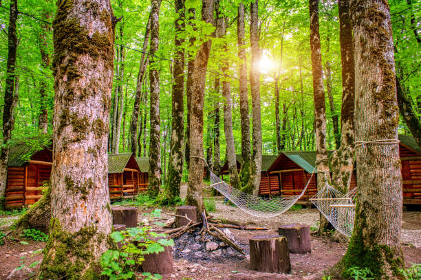nascer do sol no acampamento - cabin photography europe tree - fotografias e filmes do acervo