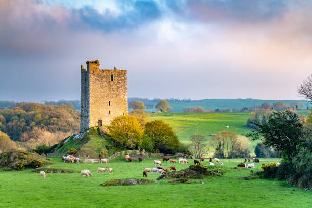 castillo de carrigaphooca fotografiado desde el noreste por la noche - county cork fotografías e imágenes de stock