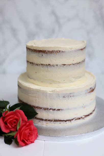istock Plain white two-tiered semi-naked cake on a silver cake board with 2 pink roses on the side 1199239650