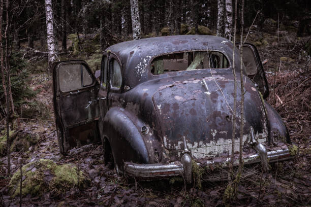 Old overgrown  and rusty car from the fourties standing in a forest in Sweden