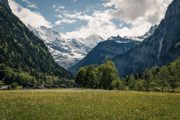 dolina wodospadów - jungfrau waterfall tree nature zdjęcia i obrazy z banku zdjęć