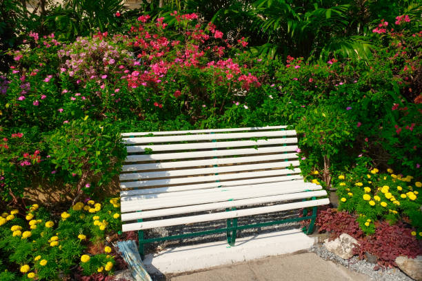 istock A white park bench is located among flowering bushes. 1199246575