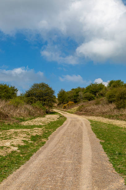 istock Rural Sussex Landscape 1199246867
