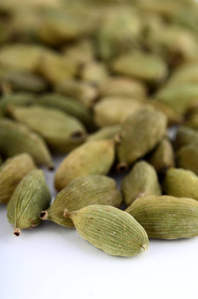 istock Cardamom pods on white background 1199248587