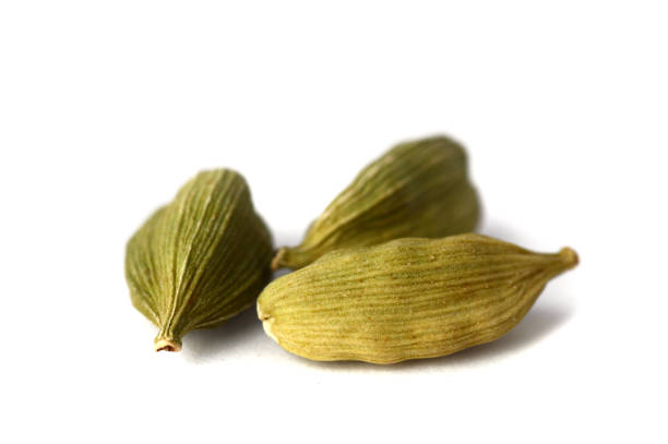 istock Cardamom pods on white background 1199248834