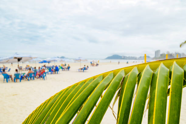 Rio de Janeiro, Brazil - December 27. 2022: Aerial view of LGBT people at Ipanema's Posto 8 section of the beach in Rio de Janeiro, Brazil