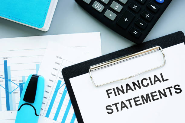 istock Text sign showing hand written words Financial Statements 1199249462
