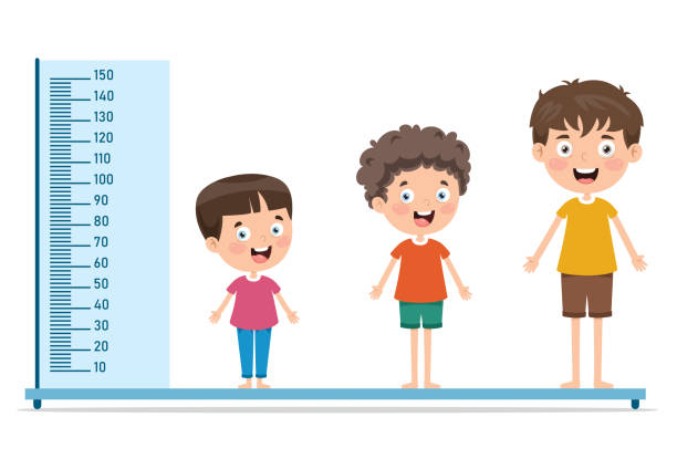 Height Measure For Little Children Height Measure For Little Children human height stock illustrations