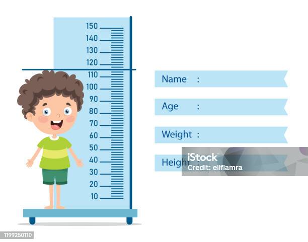 Height Measure For Little Children Stock Illustration - Download Image Now  - Child, Human Height, Measuring - iStock