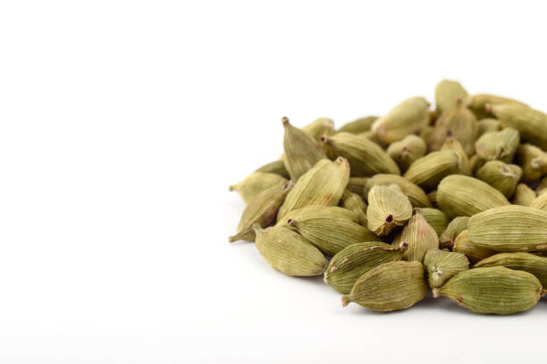 istock Cardamom pods on white background 1199250123