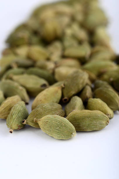 istock Cardamom pods on white background 1199250217