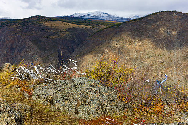 istock Beautiful landscape in mountains 119925167
