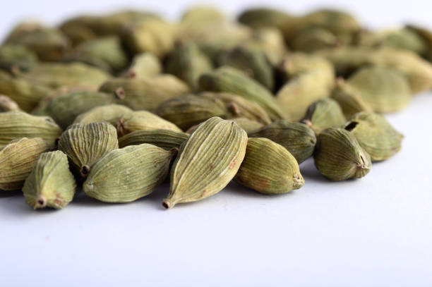 istock Cardamom pods on white background 1199254271