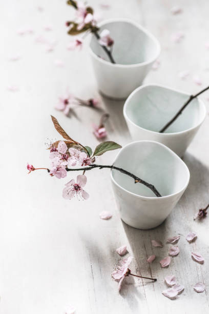istock Spring holiday background. Tender fragile Spring  blossom flowers on branches,over light white background 1199254645
