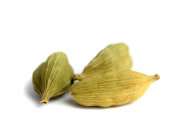 istock Cardamom pods on white background 1199254672