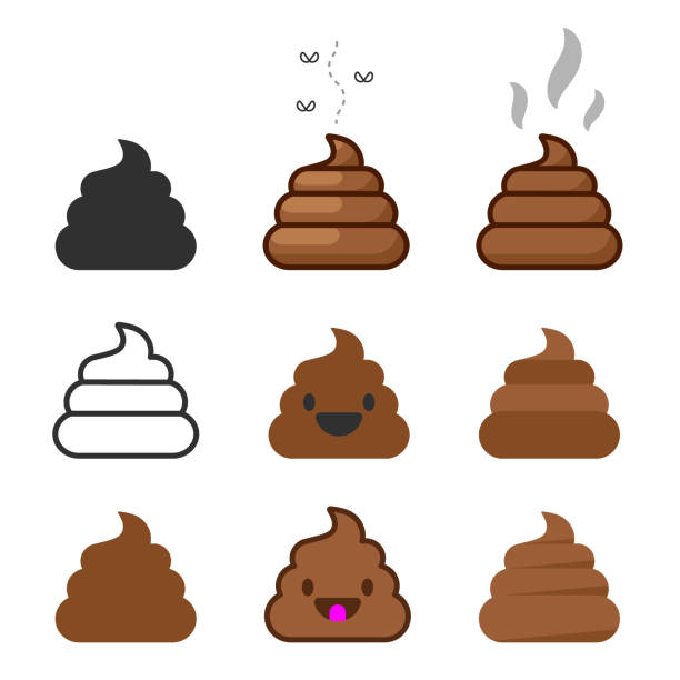 ilustrações de stock, clip art, desenhos animados e ícones de bunch of brown shit icon set. vector image. stinky dog poop logo symbol sign collection. cartoon style poo. vector illustration image. isolated on white background. - stool